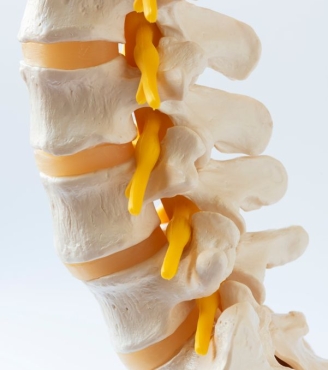 Κατάλυση ενδοσπονδυλικών νεύρων, Intracept procedure